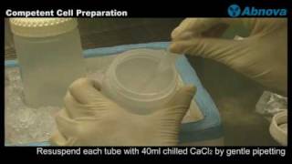 Competent Cell Preparation [upl. by Aillil]