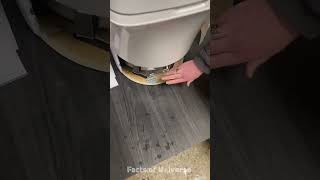 toilet How to burn your waste in a toilet commode  Shorts Video [upl. by Ynned268]