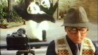 Kit Kat Panda Advert From The Early 90s [upl. by Nitsur]