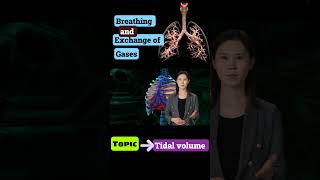 part 2 tidal volume breathing and exchange of gases neet Cbse [upl. by Thora444]