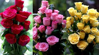 Rose Bouquets  Red Roses  Pink Roses  Yellow Roses  Roses  Flowers [upl. by Aihsekat]