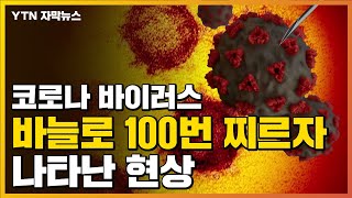 자막뉴스 코로나바이러스 바늘로 100번 찌르자 나타난 현상  YTN [upl. by Solraced]