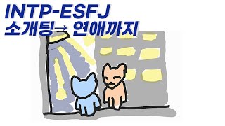 INTP ESFJ 연애하게 된 썰  인팁 엣프제 궁합 [upl. by Erminna]