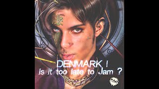 Prince amp Guests  DENMARK is it too late to JAM NPG Vandals August 19 1998 aftershow [upl. by Ennahs]