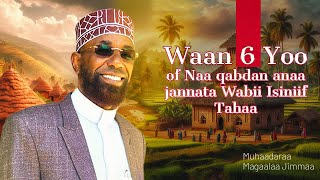 Sheikh Amin Ibro  Waan 6 khana Yoo of Naa qabdan anaa jannata Wabii Isiniif Tahaa [upl. by Eichman]