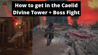 Elden Ring  How to Enter Divine Tower of Caelid amp Godskin Apostle Boss Fight Guide  Rewards [upl. by Nnail]