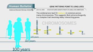 Science Bulletins Gene Patterns Point to Long Lives [upl. by Elwyn]