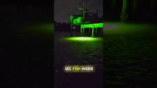 Green Light Dock Fishing Have You Tried It shorts fishing kayakfishing [upl. by Ardnuahc876]