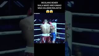 Bicolano Boxer MalaMaso Ang Kamao Mga Kalaban Bulagta pinoyboxing dustsports boxing [upl. by Ditmore]