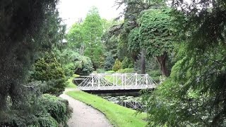 Some unique plant species at Trompenburg Rotterdam the Netherlands [upl. by Naimerej]