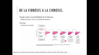 Hepatopatía crónica [upl. by Phineas]
