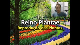 Reprodução das Plantas [upl. by Elberta]