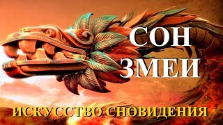 Искусство сновидения Сон Змеи Ось сновидения Обучающий фильм [upl. by Knuth]