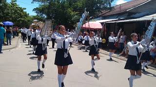 Banda Marcial Antonia Santos Dolores Tolima  Purificación 2019 [upl. by Jerman]