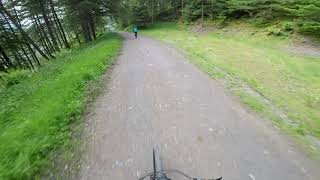 Gorse Cycle Trail at Whinlatter [upl. by Rivy]