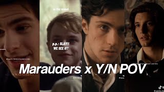 Marauders x YN Tiktok POV [upl. by Nazarius]