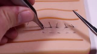 Horizontal Mattress Suture Technique [upl. by Hobbs]