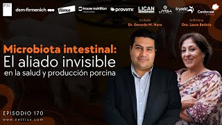 170  Microbiota intestinal el aliado invisible en la salud y producción porcina Dr Gerardo Nava [upl. by Frants]