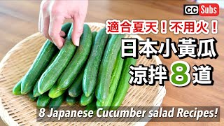 【8道小黃瓜涼拌】適合夏天！不用火！小黃瓜食譜  淺漬小黃瓜  韓式辣黃瓜  上癮私房醃小黃瓜  涼拌小黃瓜海帶芽醋  小黃瓜涼拌梅乾柴魚片  Cucumber Recipes [upl. by Britney]