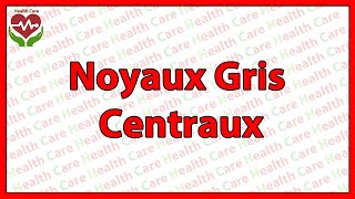 Noyaux gris centraux [upl. by Dnaloy960]