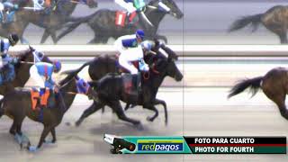 CARRERAS HIPODROMO MARONAS 181123  URUGUAY [upl. by Pierce794]