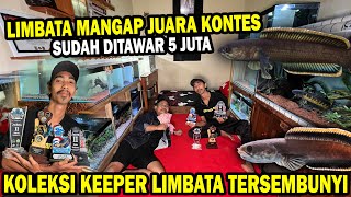 DITAWAR 5 JUTA LIMBATA MANGAP2 JUARA KONTES ADA DISINI [upl. by Einafats]