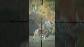 My FIRST Great One Whitetail callofthewildgameplay cotw thehuntercotw thehuntercallofthewild [upl. by Dadirac182]