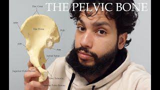 Making The Innominate Pelvic Bone Understandable [upl. by Dominy]