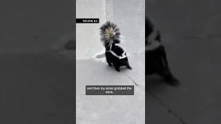 9yearold helps rescue skunk stuck in Nelson skate bowl [upl. by Ellednek]