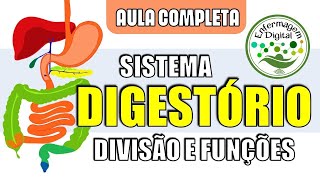 Planos Anatômicos e Eixos de Movimento Introdução à Anatomia parte 2 [upl. by Entsirhc]