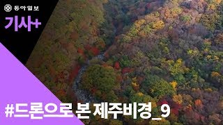 기사 드론으로 본 제주비경9 한라산 단풍 [upl. by Karim618]