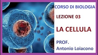 CORSO DI BIOLOGIA  Lezione 03  La Cellula [upl. by Derfla]