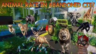 Carnivores VS Herbivores Animal Race in Abandoned City included Elephant Giraffe Lion amp Polar Bear [upl. by Spears]