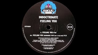 Indoctrinate  Feeling You 1999 [upl. by Llert]