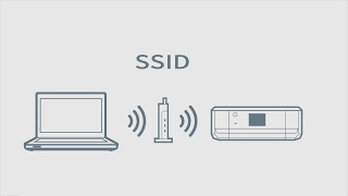 How to Connect a Printer Using WiFi with SSID Epson XP640645 NPD5716 [upl. by Ontine984]