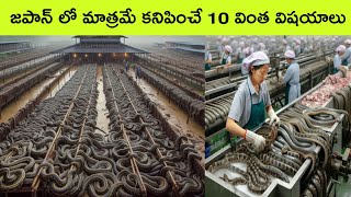 Top 10 Things That Only Exists In Japan  Japan facts in telugu  bmc facts  telugu facts [upl. by Asena]