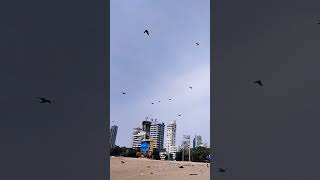 mumbai chowpatty beach peaceful sea marine maharashtra ⛱️ [upl. by Aneeram]