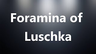 Foramina of Luschka  Medical Definition and Pronunciation [upl. by Ahmad]