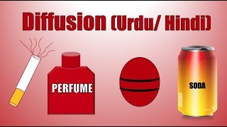 DIFFUSION REAL LIFE EXAMPLES URDUHINDI  DIFFUSION IN URDU  CLASS 9 amp 11 CHEMISTRY BIOLOGY [upl. by Gilbart]