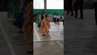 Bonitos bailables musicatradicional musica jalisco elsondelaculebra [upl. by Anawait]