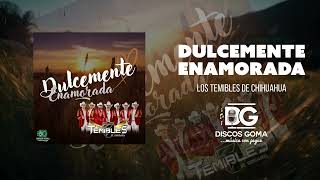 Dulcemente Enamorada  Los Temibles de Chihuahua Audio Oficial [upl. by Hoyt]