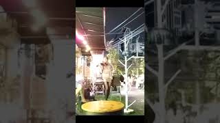 Pisando flores  Cover   Violin show in Bangkok [upl. by Knutson]