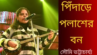 পিঁদাড়ে পলাশের বনPidare Palash Er BanSoumiBhattacharjee [upl. by Lambert15]