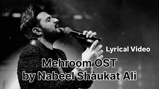 Mehroom OST  Nabeel Shaukat Ali  Lyrical Video [upl. by Skolnik189]