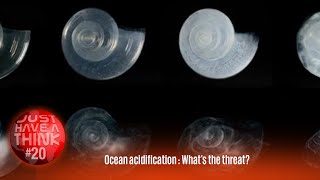 Ocean Acidification  Whats the threat [upl. by Feinleib]