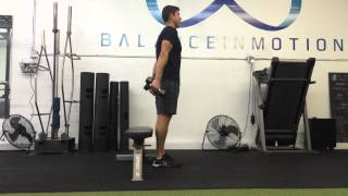 Counterbalanced Single Leg Squats [upl. by Honebein939]