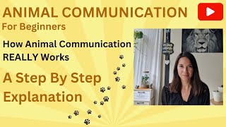 How Animal Communication REALLY Works  A Step by Step Explanation [upl. by Teik]