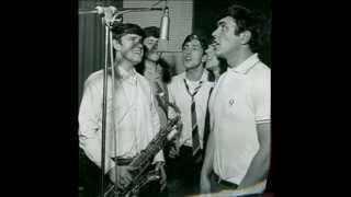 The Dave Clark Five  I Still Need You [upl. by Owain]