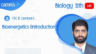 11th Biology Live Ch 11 Bioenergetics introduction  11th Biology book 1 live [upl. by Ethel365]