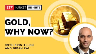 Why Add Gold to Your Portfolio Now  September 27 2024 [upl. by Patin]